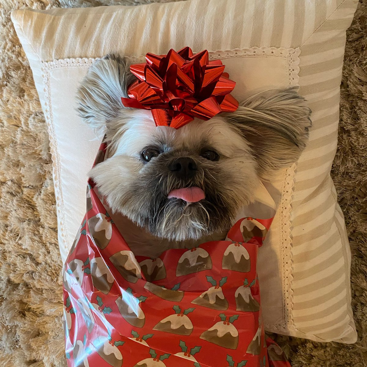 When someone asks for the perfect gift for Xmas