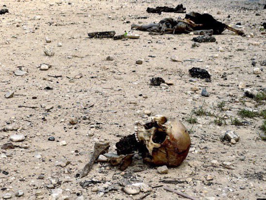 SilentlySirs's tweet image. "The aftermath in north #Gaza speaks louder than words. Amidst Jordan Peterson's controversial statement 'give them hell', the world remains an observer to the unfolding crisis. #GazaAftermath #GlobalSilence #JordanPeterson"