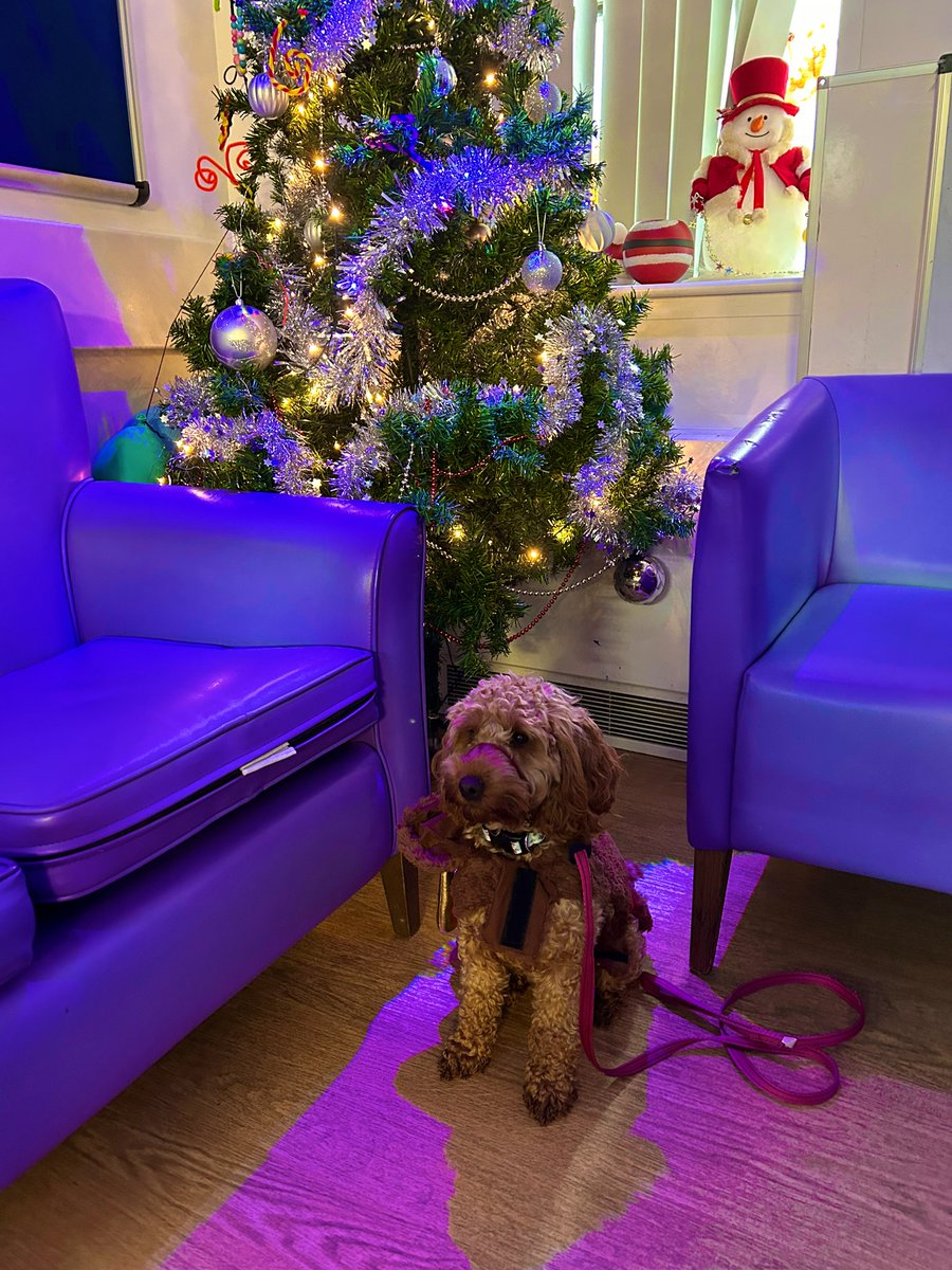 A little visit to Kerensa Ward on Christmas Day to thank the team with chocolates and to make the patients smile with a special little helper. #TeamUEE <a href="/RCHTWeCare/">Royal Cornwall Hospitals NHS Trust</a>  🎄💫