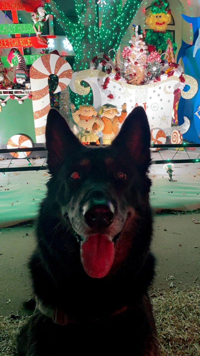 Merry Christmas! 🎄