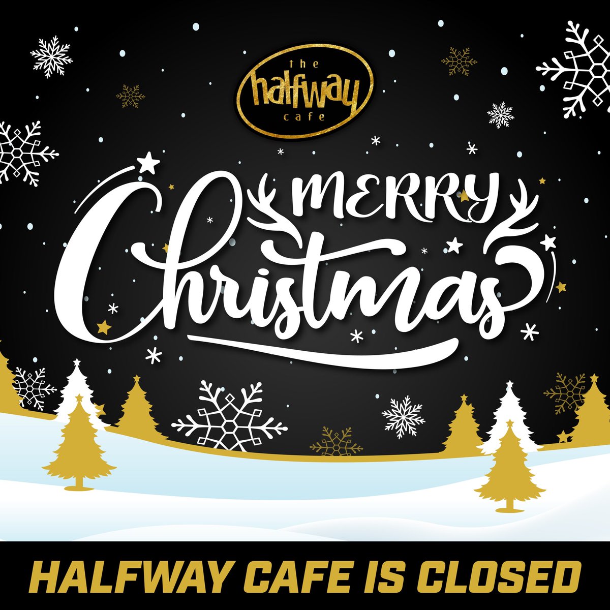 Merry Christmas 🎄