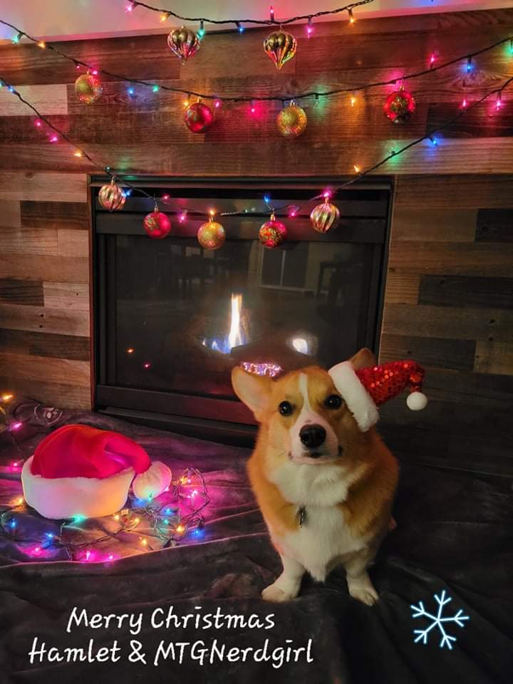 My 1st attempt at a Christmas card. 

Hamlet and I hope you all have a wonderful holiday season.🎄