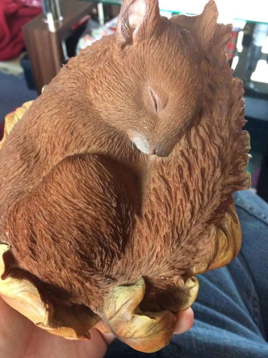 WafflesSquirrel tweet picture