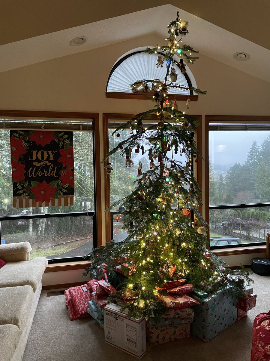 Merry Christmas, everyone — from the internet’s favorite tree.