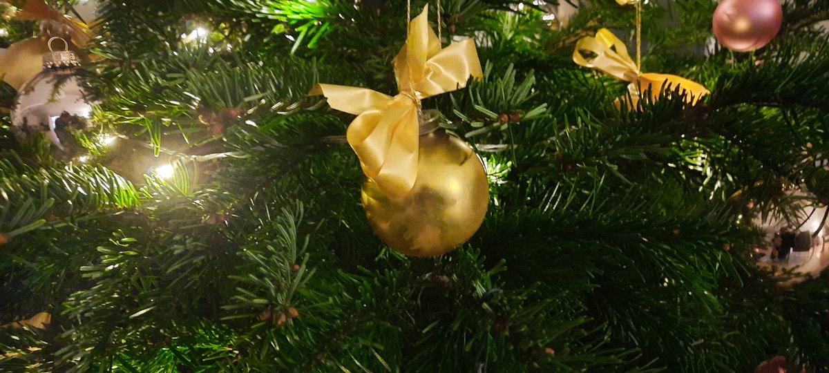 StrohmayerRecht's tweet photo. Frohe Weihnachten 🎄 Merry Christmas 🎄 Joyeux Noël 🎄 Feliz Navidad 🎄 Buon Natale 🎄 #weihnachten #froheweihnachten #merrychristmas #joyeuxnoel #feliznavidad #buonnatale https://t.co/HLpkK3ssMA
