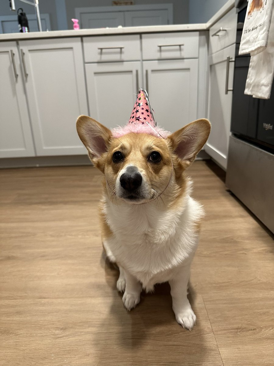 jenniferlynn726's tweet photo. Merry Christmas from Willow and I! Also wishing my little Willow a happy 3rd birthday! #ThreeRex https://t.co/jK3DIyj5VB