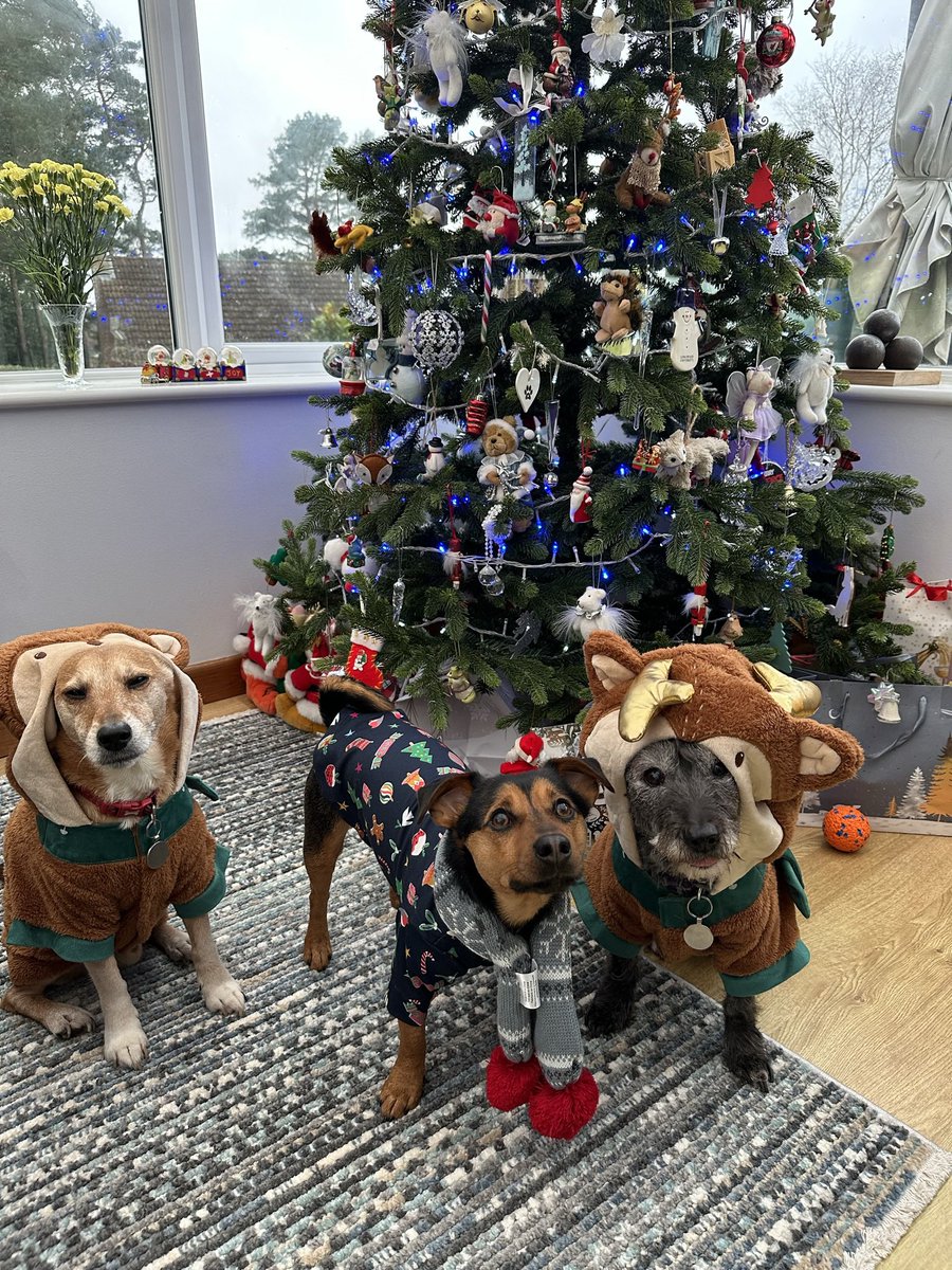 Kyra Horlock tweet media