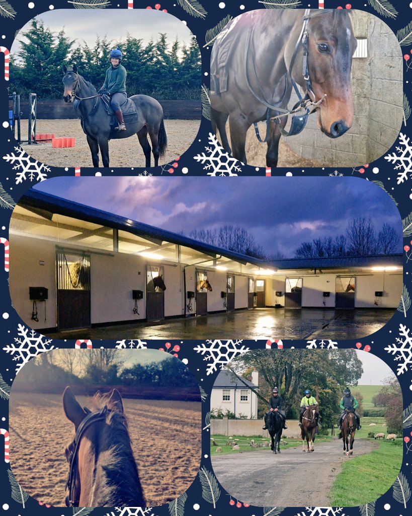 Wishing everyone a very Happy Christmas! A big thank you to all our owners for their continued support. Hopefully, the horses won't mind the extra pounds after all the turkey we've eaten.