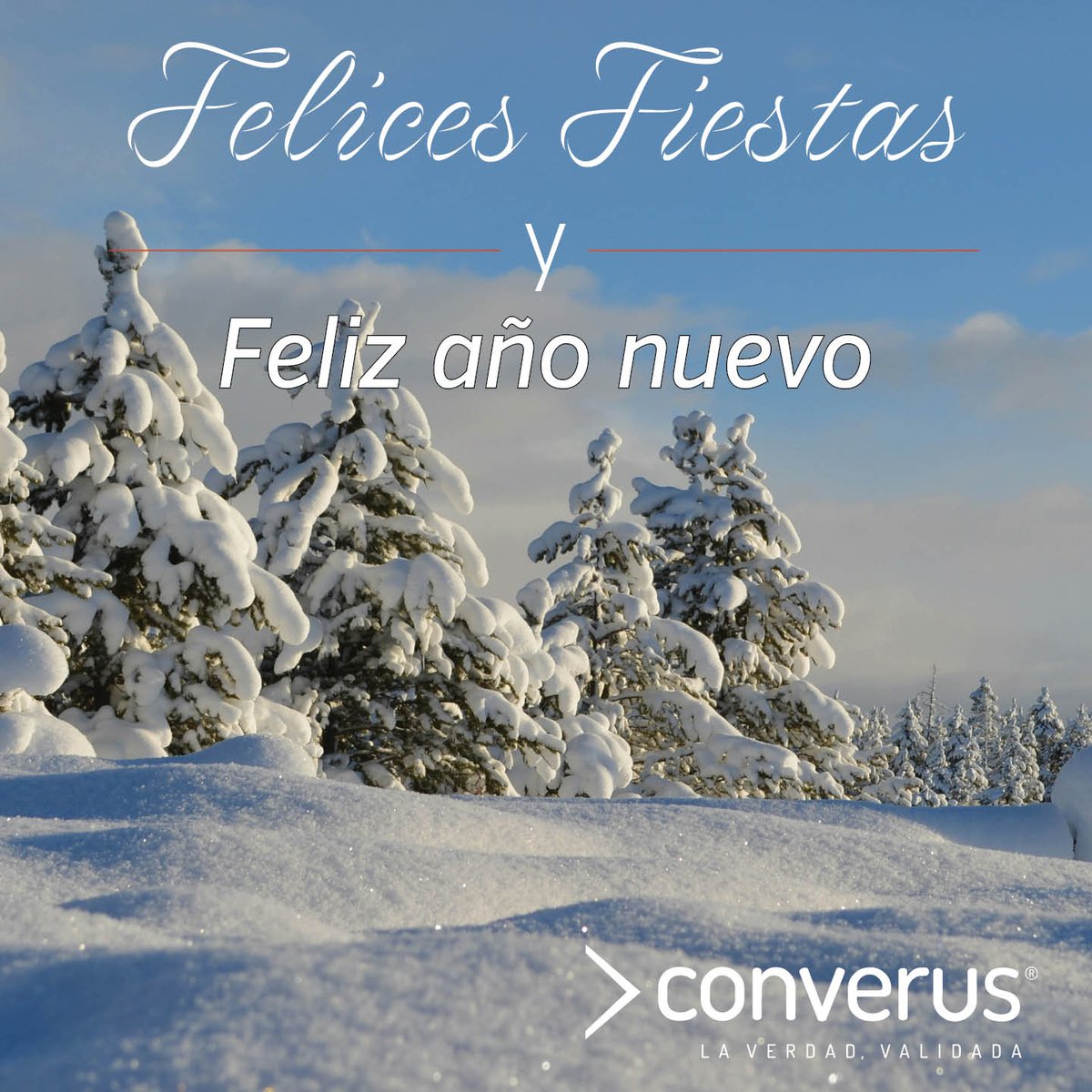 ConverusCEO_es's tweet photo. Espero que su temporada navideña sea feliz y que su Año Nuevo esté lleno de mucha esperanza y un éxito sorprendente. #FelizNavidad #FelicesFiestas https://t.co/4G8OnMKflV