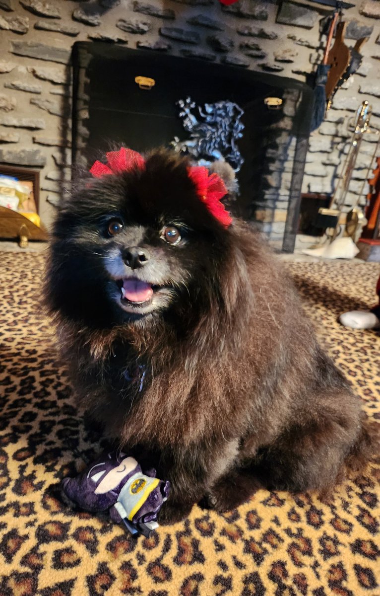 Merry Christmas everyone!  🎄  <a href="/TheJimCornette/">Jim Cornette</a> <a href="/StaceyCornette/">Mrs.Corny</a>
 🎄❤️🐾🎁