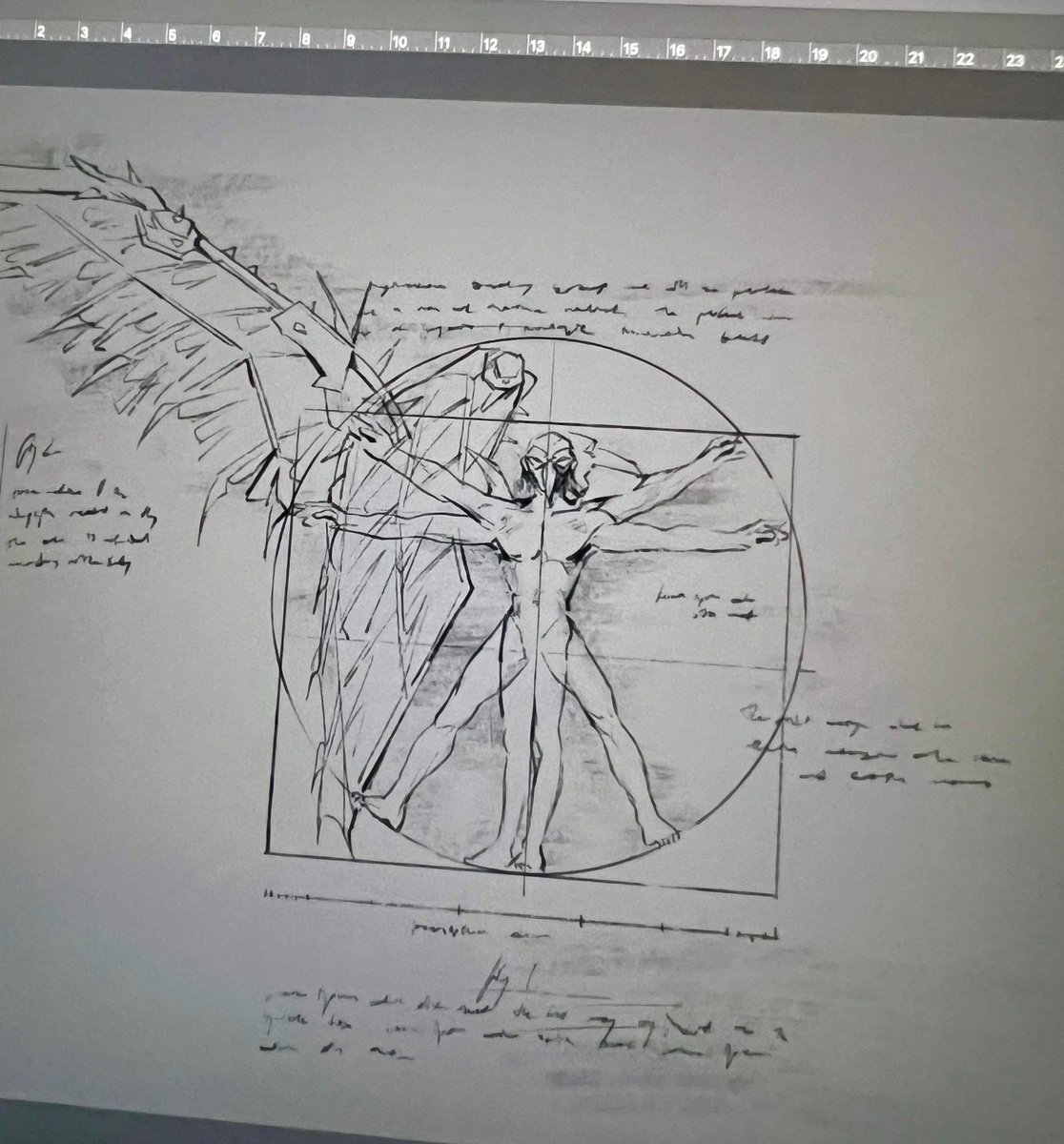 fig 1. vitruvian vulture