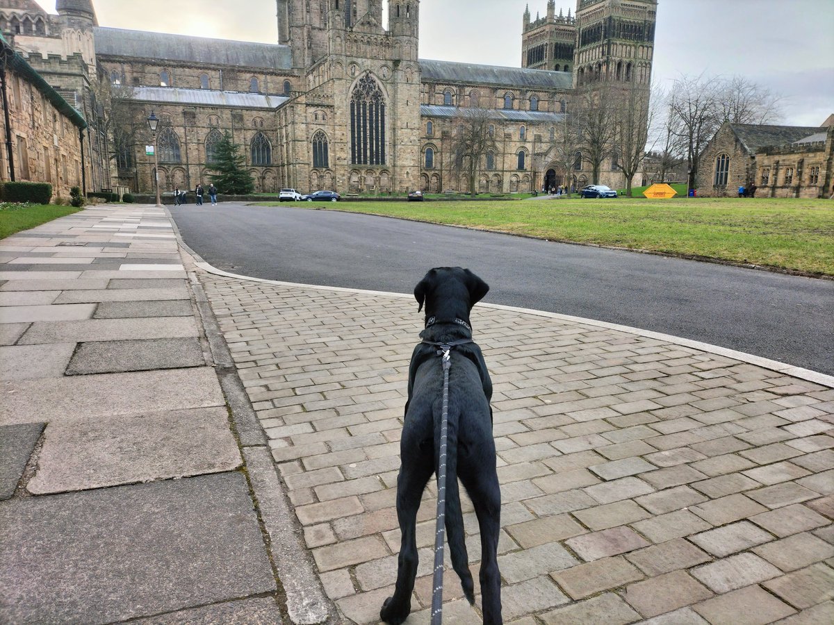Walk with Bertie - quiet on Christmas day. #Durham