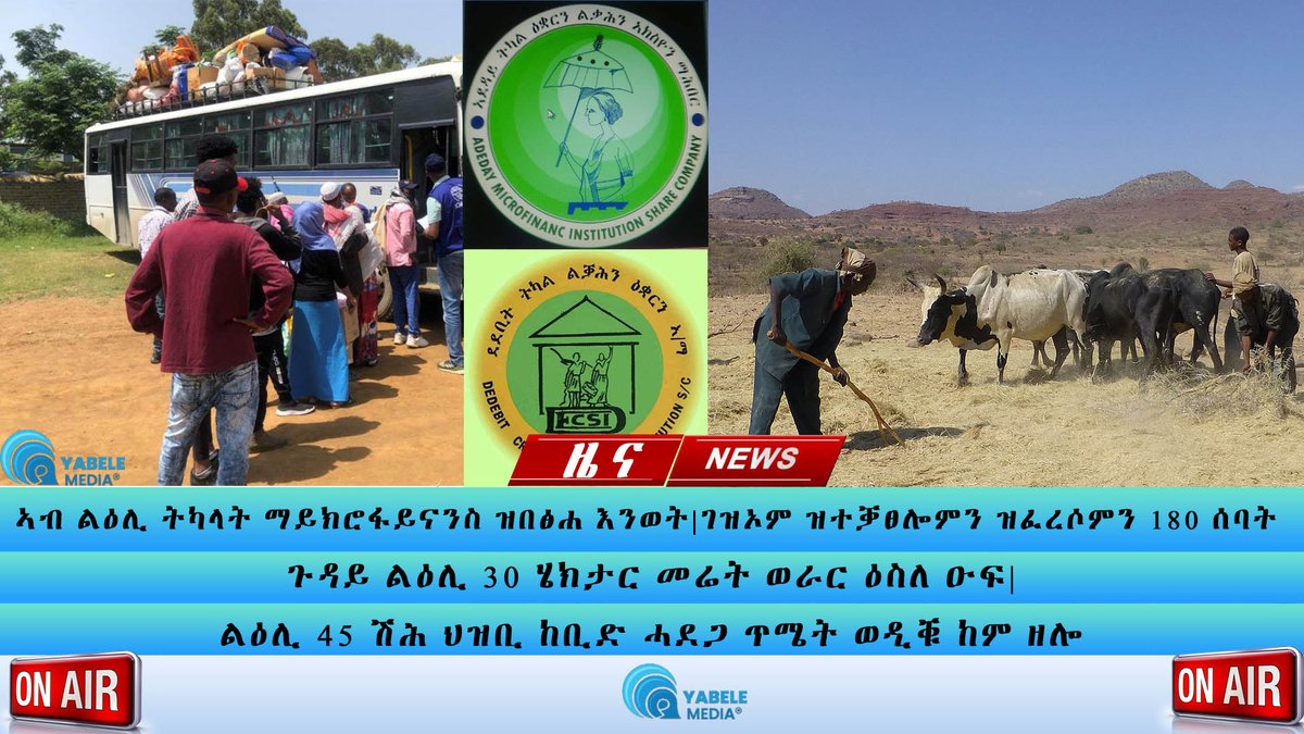 ልዕሊ ትካላት ማይክሮፋይናንስ ዝበፅሐ እንወት| ገዝኦም ዝተቓፀሎም 180 ሰባት ጉዳይ | ወራር ዕስለ ዑፍ| ልዕሊ ... youtu.be/22ymh8cRv-8?si… via @YouTube