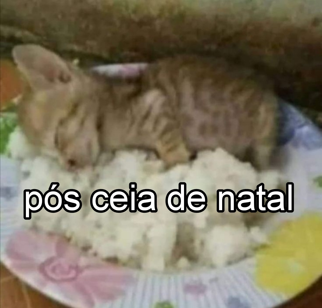 perfil dedicado a gatinhos e peitos (@odeiootaco) on Twitter photo 