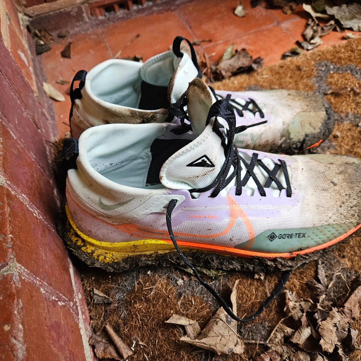 Iain Gowers 🇬🇧 🇪🇺 🏳️‍🌈🧜‍♂️ tweet media