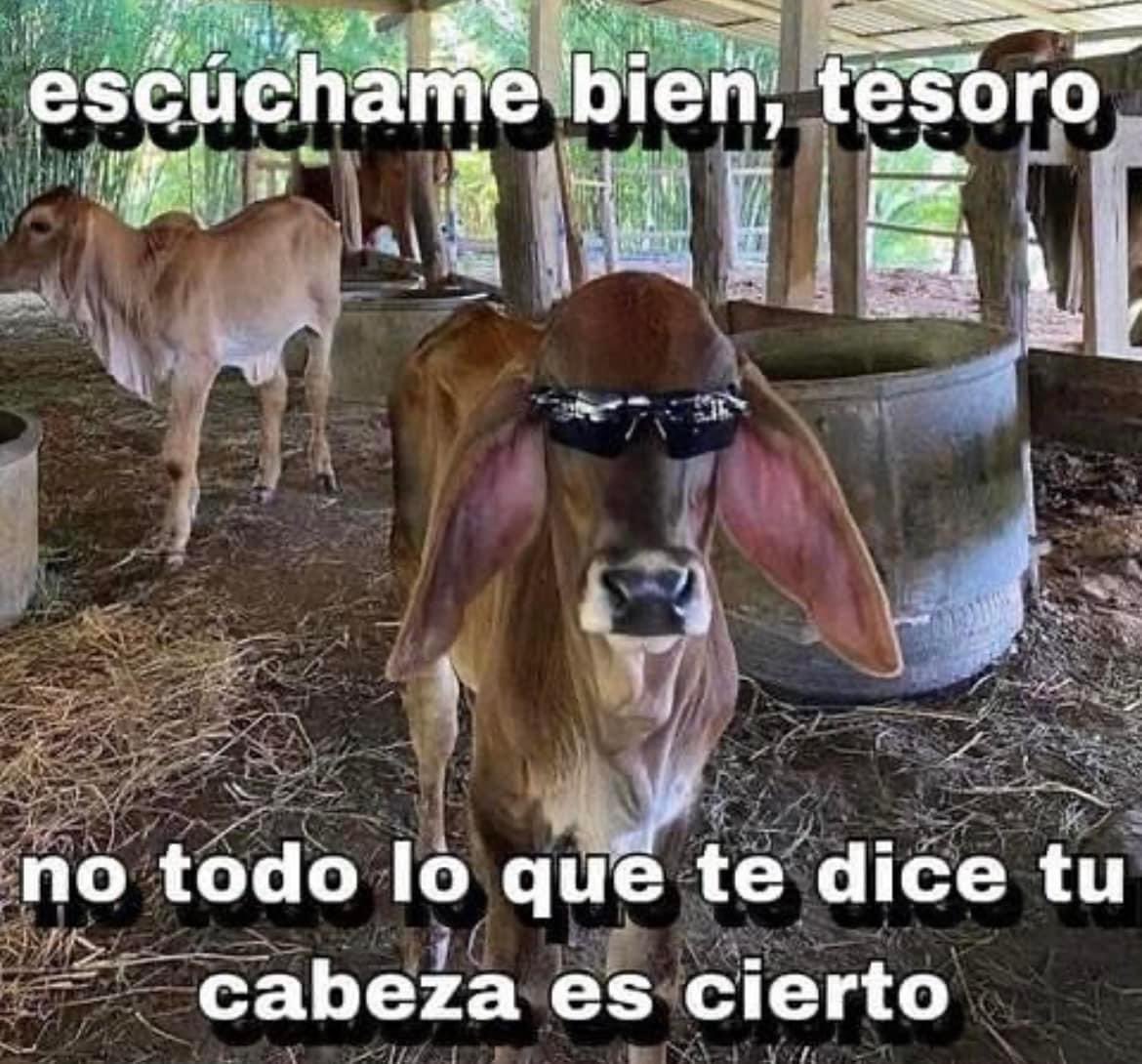 ElJeringasLoko's tweet photo. 😎 https://t.co/EmZFlLBbOx