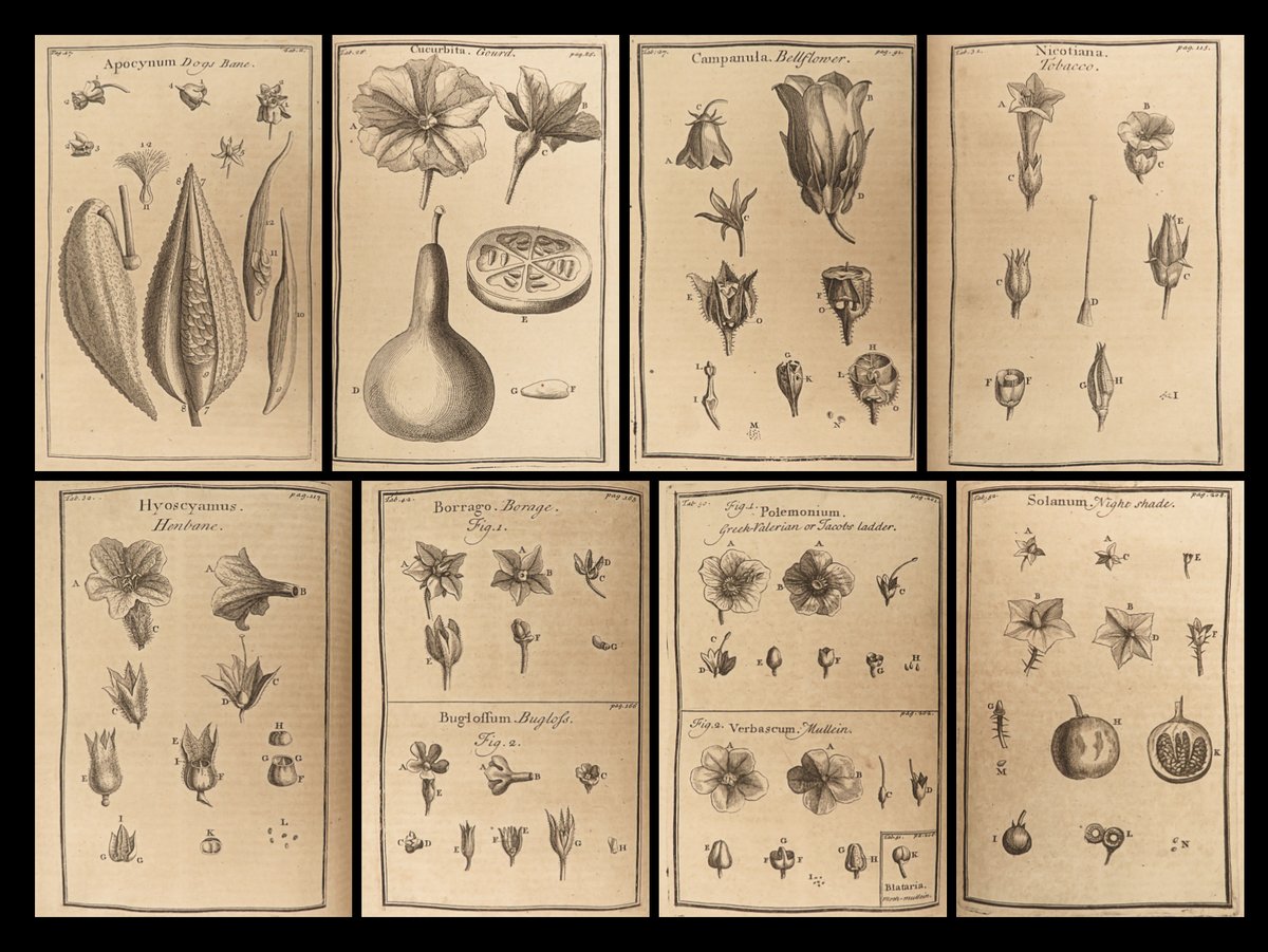 SchilbRareBooks's tweet image. 1719 Joseph Pitton de Tournefort's "The compleat herbal". ow.ly/u7b950QliKH

#Botany #Flowers #Engravings #English #RareBooks #SchilbAntiquarian #Story #Books #Reading #History #VintageBooks #Bibliophile #OldBooks #BookHaul #Booktok #InstaBooks #Bookstagram #BookHunters