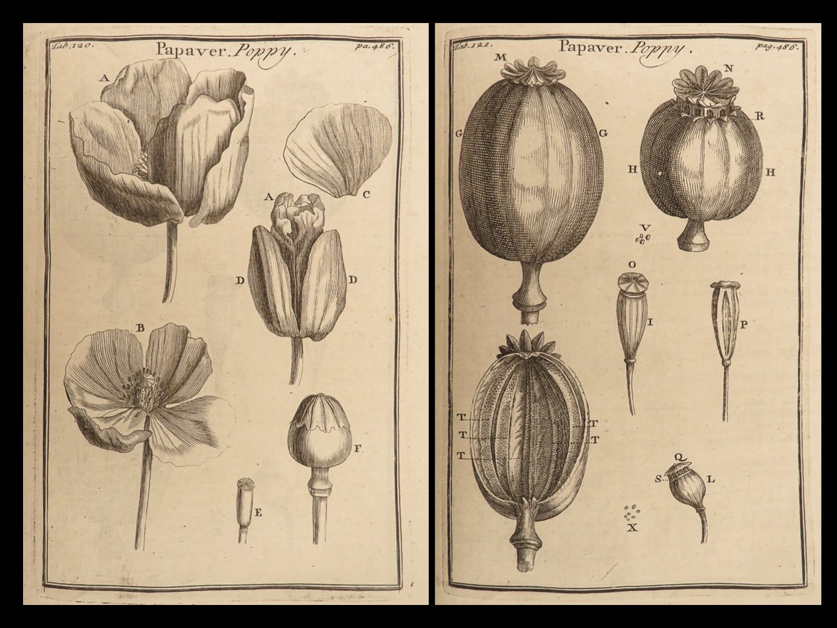SchilbRareBooks's tweet image. 1719 Joseph Pitton de Tournefort's "The compleat herbal". ow.ly/u7b950QliKH

#Botany #Flowers #Engravings #English #RareBooks #SchilbAntiquarian #Story #Books #Reading #History #VintageBooks #Bibliophile #OldBooks #BookHaul #Booktok #InstaBooks #Bookstagram #BookHunters