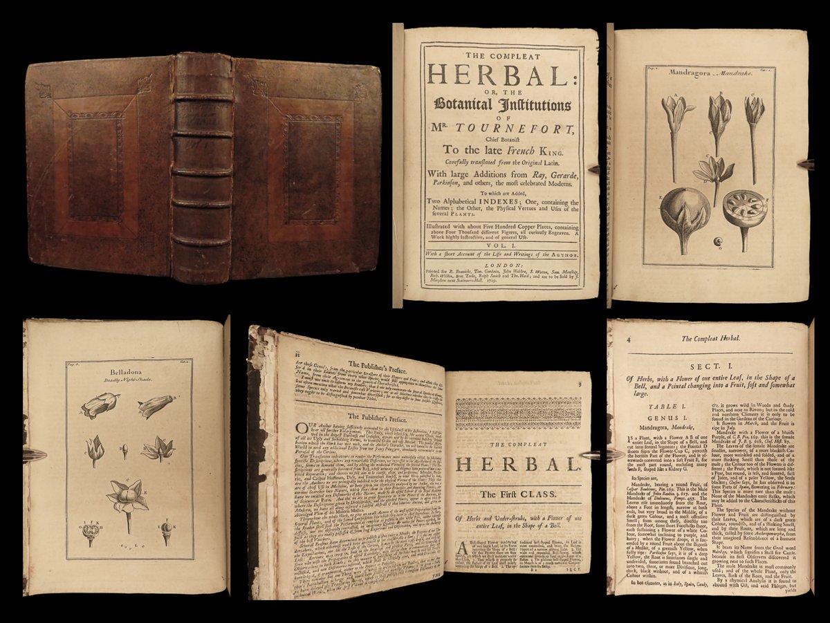 SchilbRareBooks's tweet image. 1719 Joseph Pitton de Tournefort's "The compleat herbal". ow.ly/u7b950QliKH

#Botany #Flowers #Engravings #English #RareBooks #SchilbAntiquarian #Story #Books #Reading #History #VintageBooks #Bibliophile #OldBooks #BookHaul #Booktok #InstaBooks #Bookstagram #BookHunters