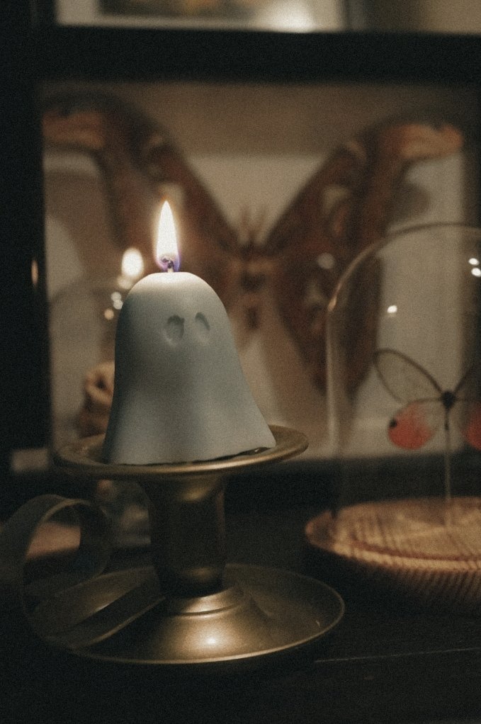 I also got a bug and a nice lil ghost candle