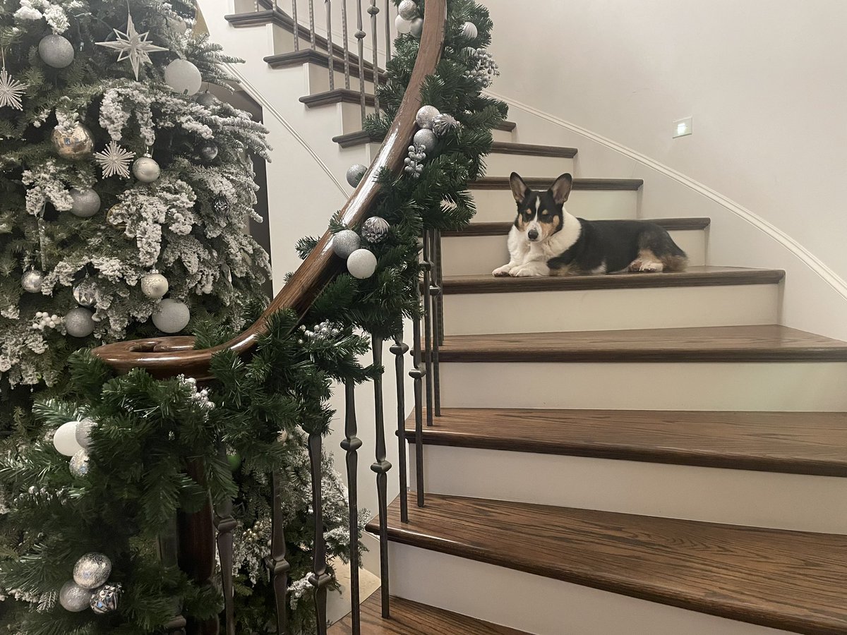 Michelle Barker tweet media