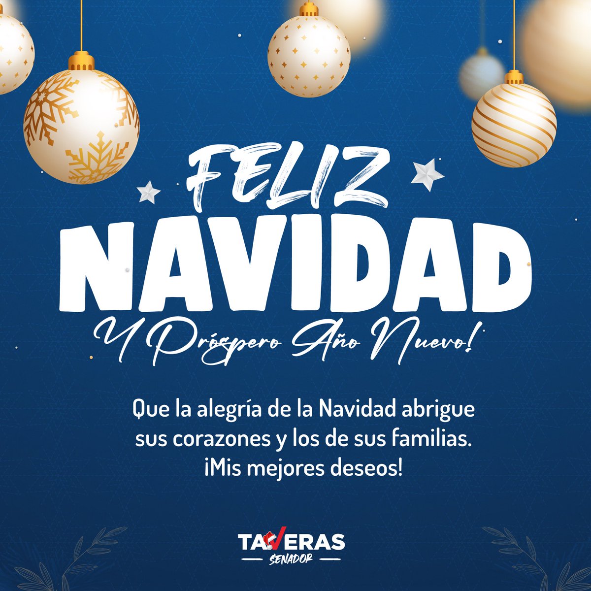 ATaverasGuzman's tweet photo. Que la alegría de la Navidad 🎄🎅abrigue
sus corazones❤️ y los de sus familias.👨‍👩‍👦‍👦
¡Mis mejores deseos!

#TaverasSenador #NavidadconTaveras #YonoMeDoblo #felicesfiestas https://t.co/G9sAe0bP2l