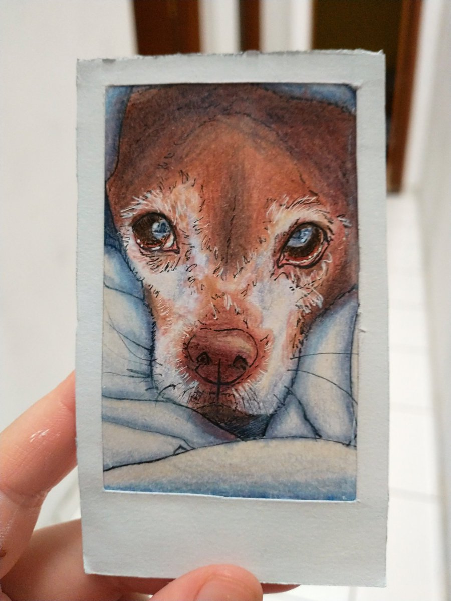 choc_mallow's tweet photo. @neil_ellice ๐ถ๐ฉต๐ถ๐ฉต
.
.
#drawing #drawings #Doodles #drawingdogs #scketchbook #unipinfineline #colorpepsmaped #newpenbrush https://t.co/HrqWnqixyK