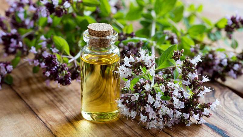 Karim A Nesr tweet media