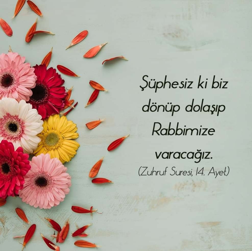 Rozi_tr's tweet photo. https://t.co/lz8aF3IwKJ