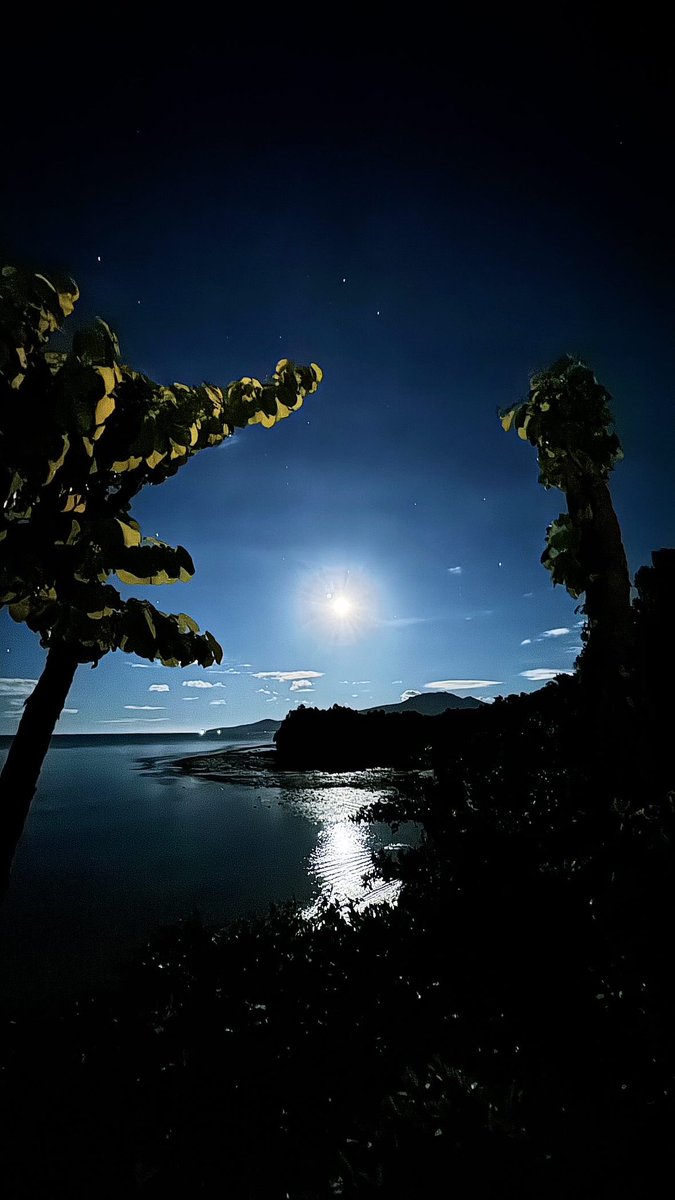 eden_holdings's tweet photo. Early Christmas mornings … 🎅🏻🎄

#whereissanta #fullmoon https://t.co/jOpzb97AKo