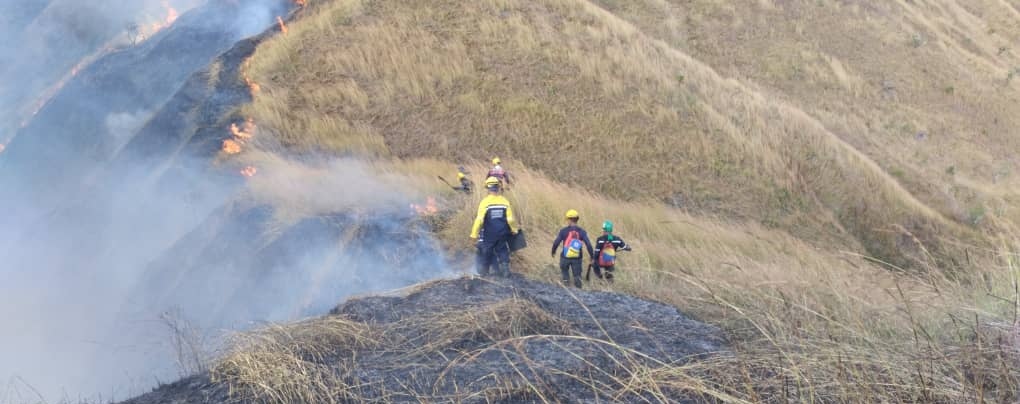 #25Dic | Efectivos del SNGR continúan combate vía aérea con la Operación Llovizna y cuerpo a cuerpo con herramientas manuales, el incendio forestal que se registra desde este domingo #24Dic en el Parque Nacional Henri Pittier, Edo. Aragua. Controlado en 90 %.