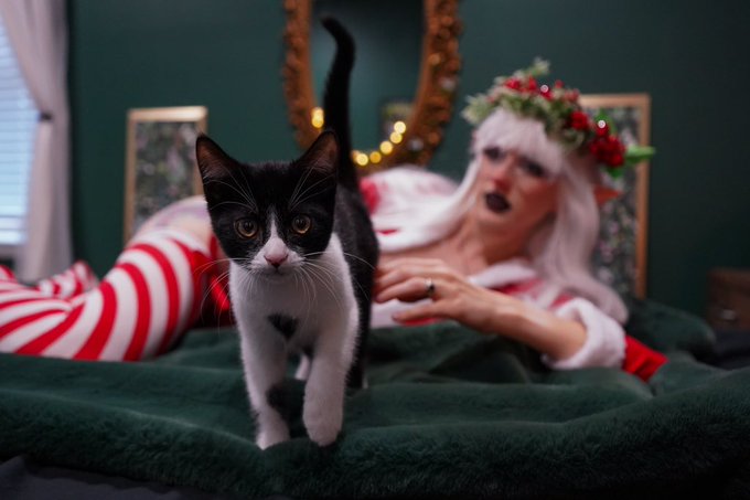 The youngling caught you sinning https://t.co/0AyWned2ol