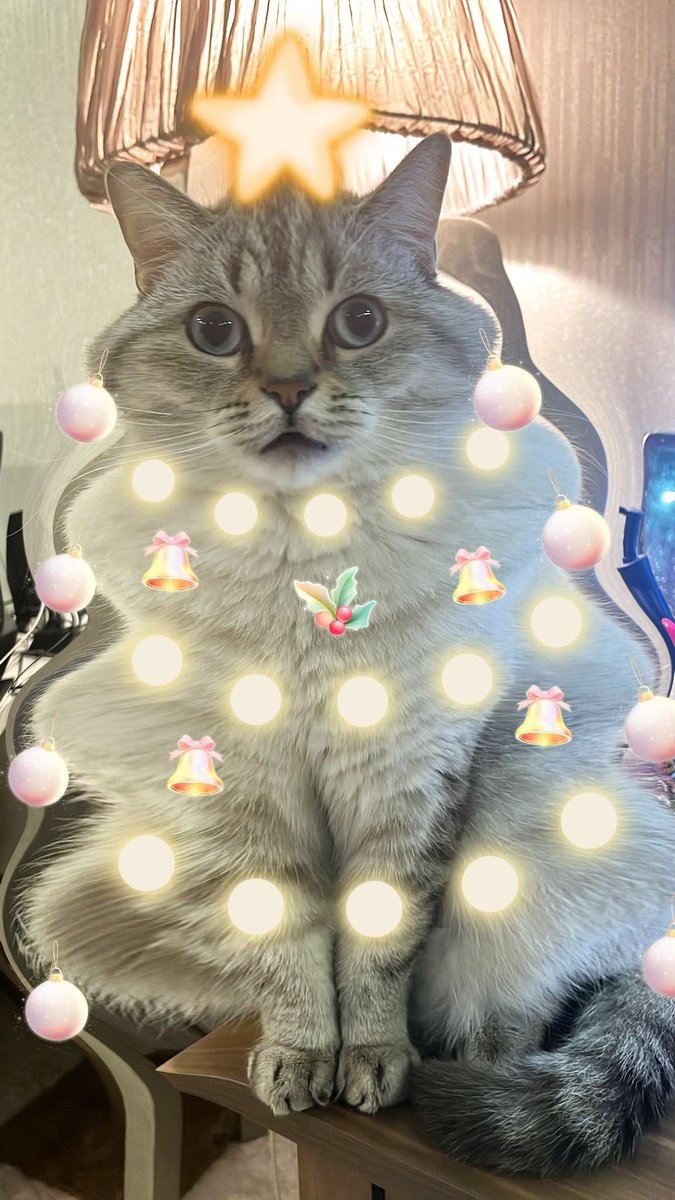 miuvmiuu's tweet photo. https://t.co/25exriGUJY