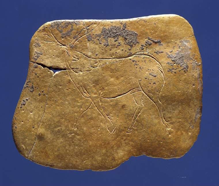 Happy Christmas everyone! 🎄

About 14,000 years ago, towards the end of the last glacial, this reindeer was expertly scored into a slab of hard Dordogne limestone. 

Image <a href="/FitzMuseum_UK/">Fitzwilliam Museum</a> #IceAgeArt data.fitzmuseum.cam.ac.uk/id/image/media…
