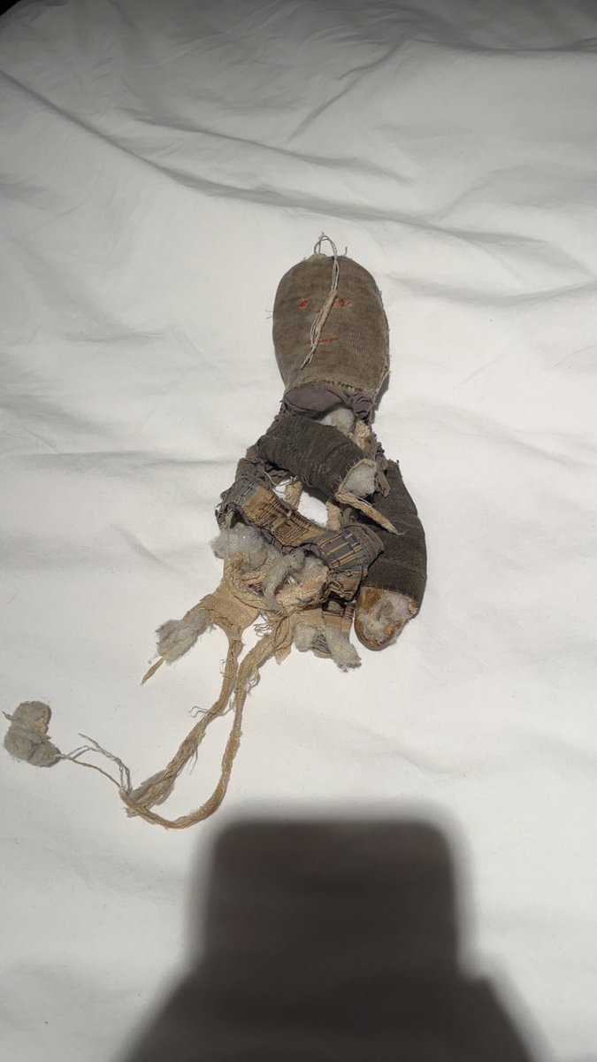 Golem fecal 🇵🇸 tweet media