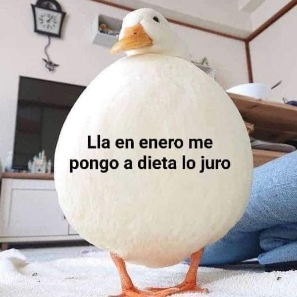 Guarromantico_'s tweet image. 