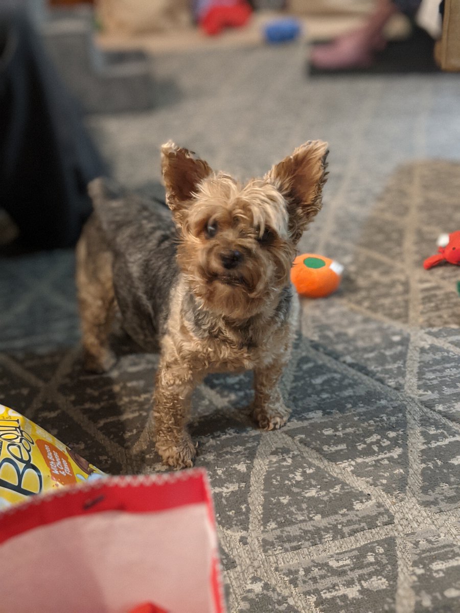 HappyLittleAxeDents tweet media