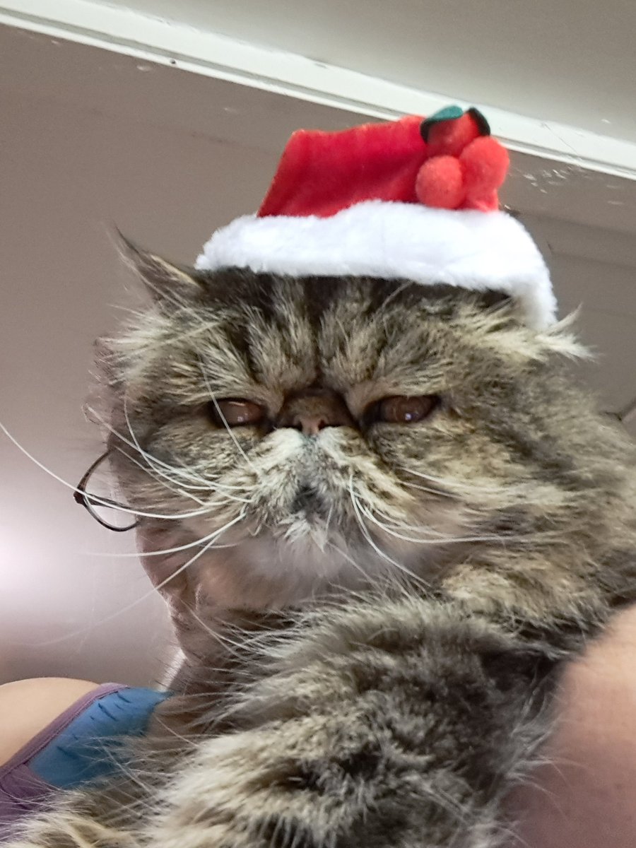 GemsJustine's tweet photo. @itsNICKSNIDER @ThreeDailey Burkin, Aspen. Do you play dress up to make your family smile? Help me lord. https://t.co/KstEYftCZC
