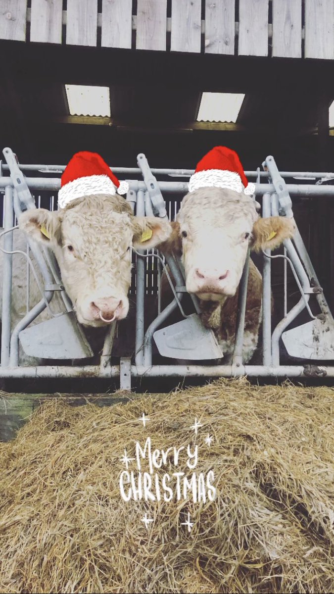 Merry Christmas from our family to yours. Quiet one here, still the usual farm jobs to do - Christmas dinner was an evening meal by the time we got finished. Father Christmas delivered 5 bantam hens to our little one, she is delighted. All the best x