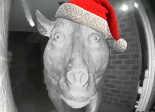 só passando pra desejar boas festas pra vcs

a página teve um ano muito bom e isso foi por causa de vcs q sempre engajam bem os posts

obrigado ❤️