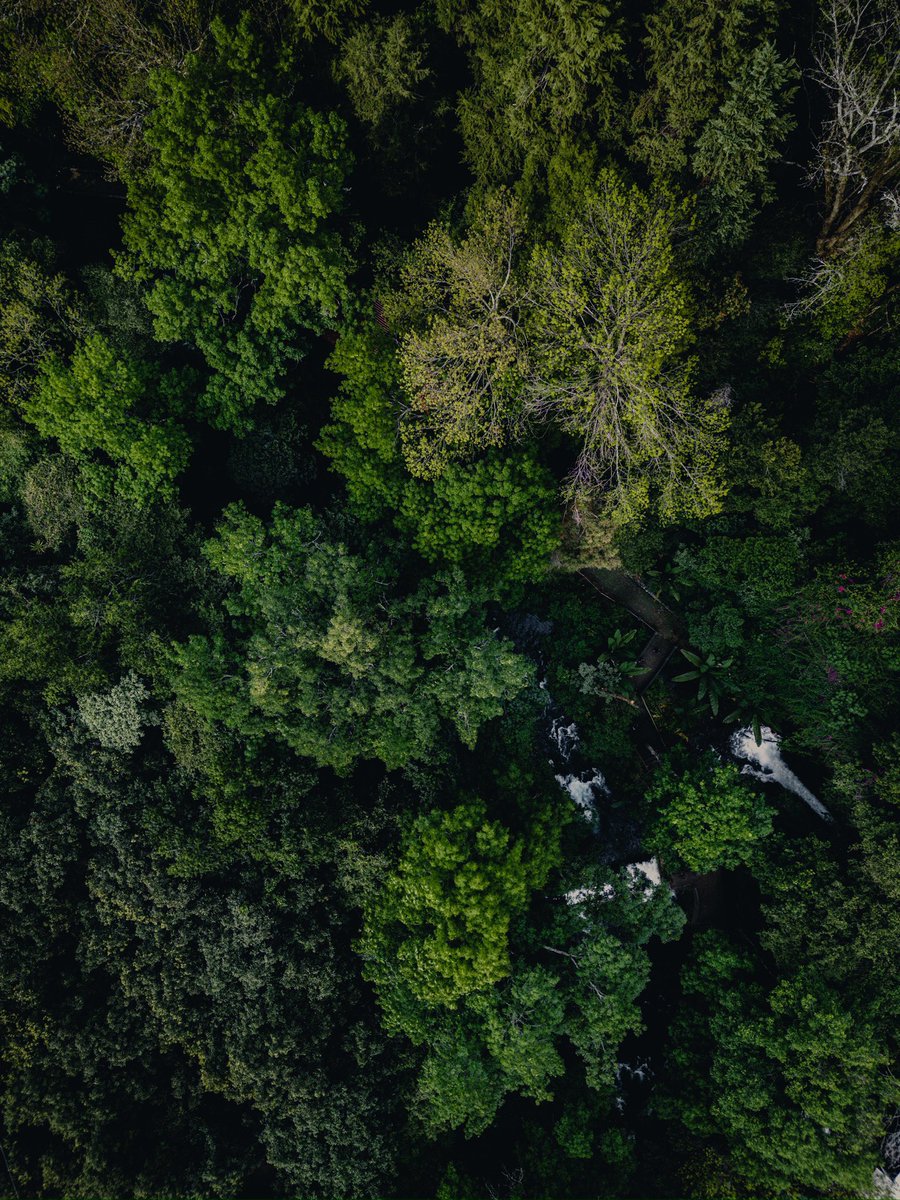 alexisguevaragg's tweet photo. De las últimas fotos que subiré en 2023, jugando un poco con las texturas que existen en las bellas áreas naturales de mi ciudad.

Tengo muy poco volando #dron, si a caso unos 4 meses de los cuales 2 han sido constantes y me he divertido bastante!!! https://t.co/uaHZOscFhQ
