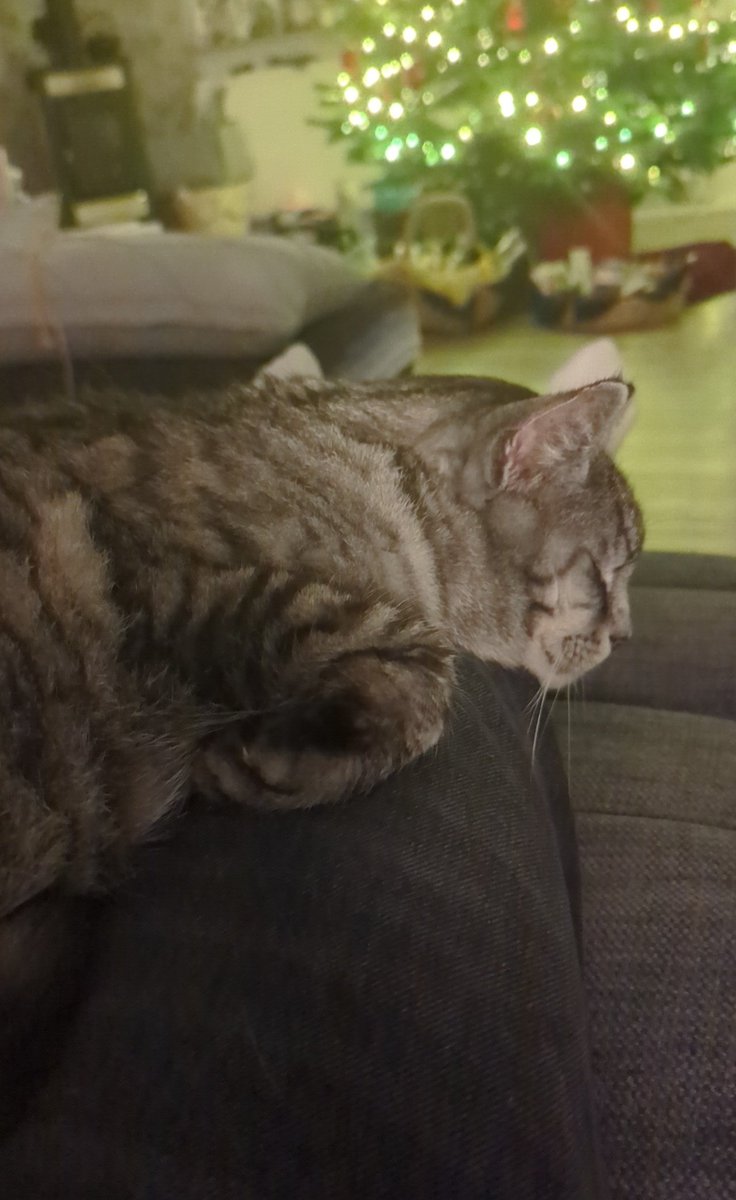 RvNxMango's tweet photo. liege wie https://t.co/W5pLJWsafB