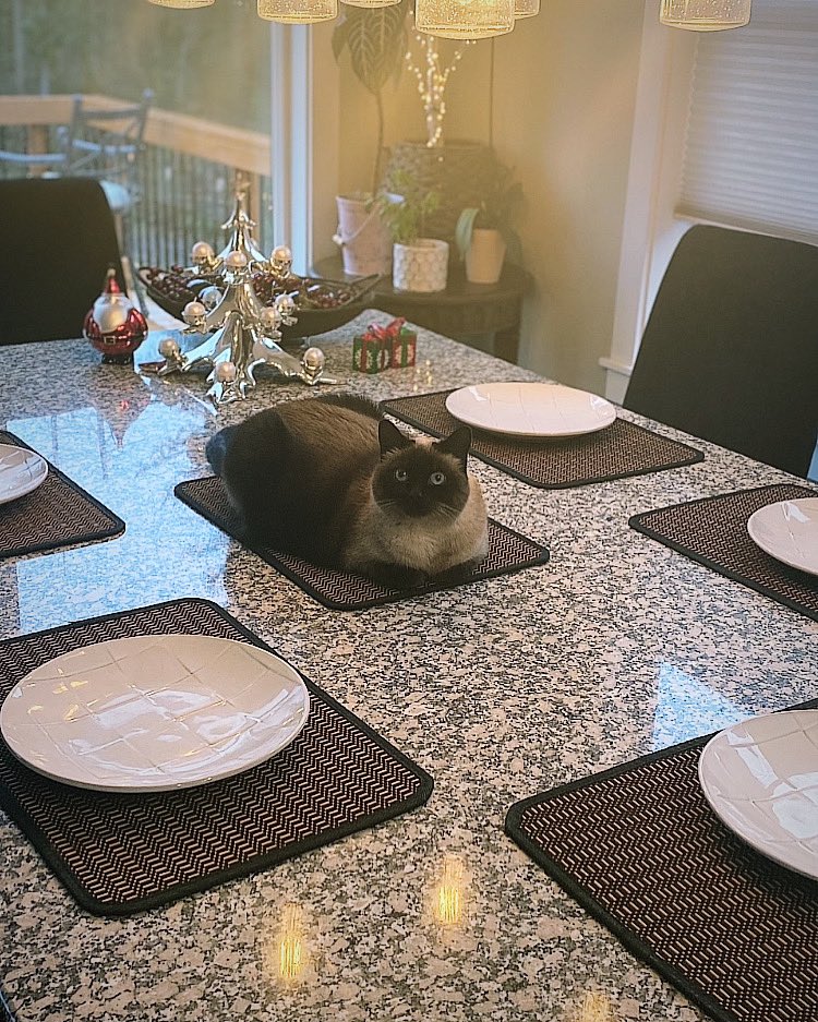 Lil Stevie wishing a Merry Xmas to all.