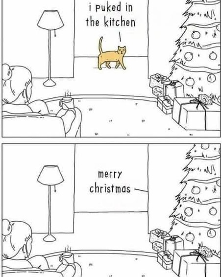 TheCatnipTimes's tweet image. 