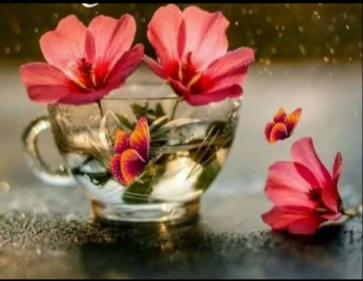 प्रभात जोहार 
"विश्वास है तो मौन भी समझ में आ जायेगा ,
और अगर  विश्वास नहीं है 
तो शब्दों से भी गलतफहमी हो जायेगी ।।"
#दासता #मॉर्निंग