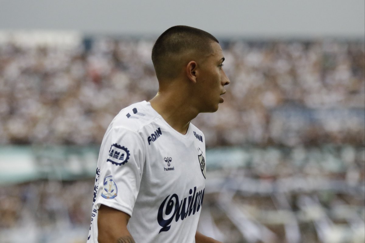 Sebastián Kerle tweet media