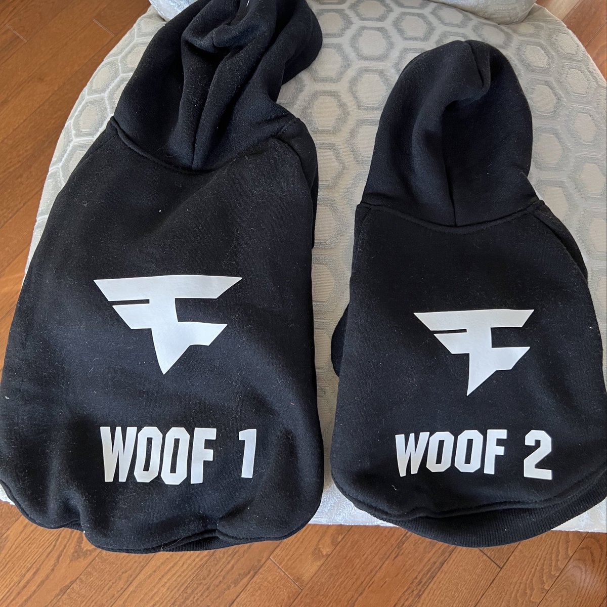 Our dogs have officially joined FaZe 😂