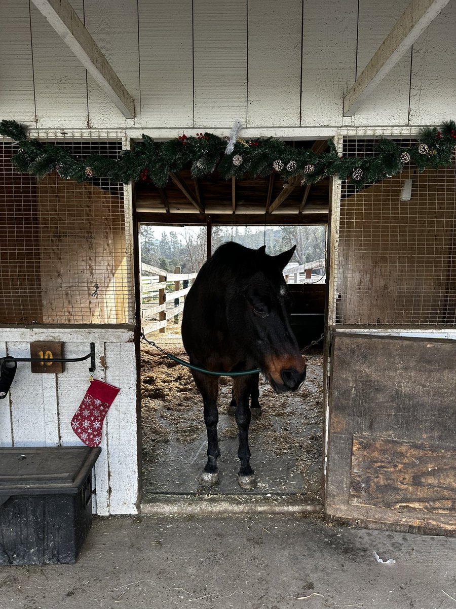 Happy Holidays, y’all!