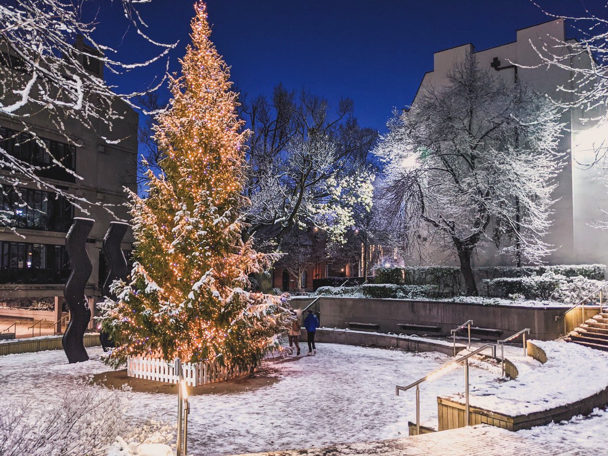 Merry Christmas to our students, colleagues, and their families! Wishing you all a season filled with love, laughter, and heartwarming moments. 🎄✨🎁