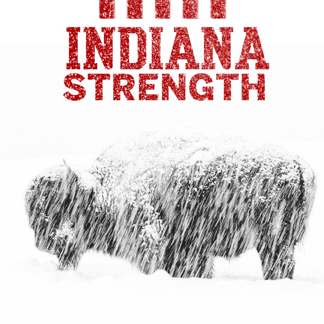 🔴⚪️ 🦬 At Indiana Strength, we honor the powerful symbolism of the Bison. When a storm approaches the mighty Bison, embodying STRENGTH and courage, charge directly into the storm's path. And as they rarely roam alone, we too thrive with the support of a herd.
#NeverDaunted